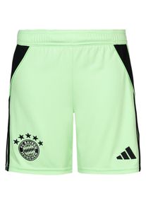 Adidas Fc Bayern München 25-26 Fußballshorts Kinder - grün - Gr. 176