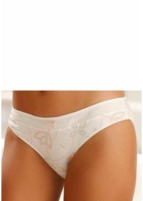 Große Größen Petite Fleur Baumwoll-Slips (3 Stück) Gr. 40/42 beige für Damen
