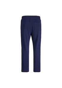 Jack & Jones Jack & Jones Junior Hose KANE NORREBRO Sweathose