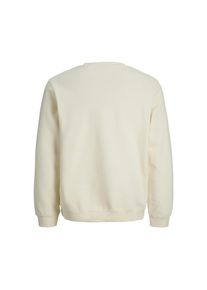 Jack & Jones Jack & Jones Junior Pullover TIER PRINT Sweatshirt