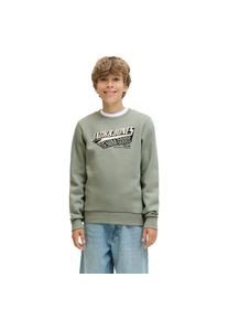 Jack & Jones Jack & Jones Junior Sweatshirt Logo Pullover