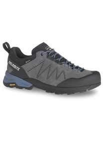 Dolomite Crodarossa Leather GTX Multisportschuhe Herren (Gr 41,5 |grau |wasserdicht)