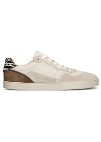 Sneaker Groundies Nova Gs1 Damen (Gr 36 |beige)