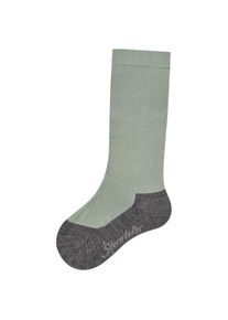 Sterntaler Kniestrumpf Funktion Multifunktionssocken Kinder Wandern (Gr 19-22 |grau)