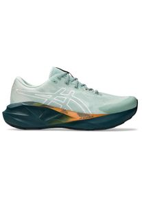 Trailrunningschuhe asics Novablast 5 TR Herren (Gr 41,5 |grau)