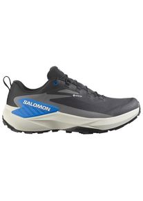 Salomon Genesis GORE-TEX Trailrunningschuhe Men (Gr 49 1/3 |grau |wasserdicht)