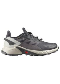 Salomon Supercross 4 GORE-TEX Trailrunningschuhe Damen (Gr 42 |grau |wasserdicht)