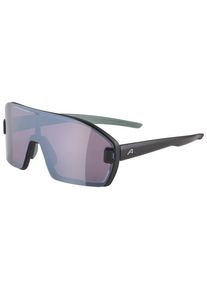 Alpina Bonfire Mag Q S1 + S3 Sonnenbrille (grau)