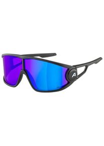 Sonnenbrille Alpina Legend Q-Lite Cat. 3 (blau)