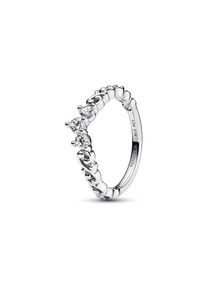 Pandora Damenring Moments 192232C01-52