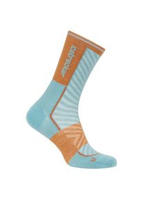 Icebreaker Merino Run+ Ultralight Crew Laufsocken Men (Größe S |bunt)