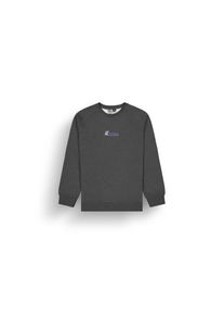 PICTURE Toanah Crew Pullover Herren (Gr XL |grau)