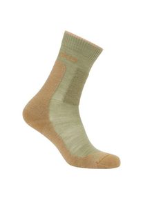 Merinosocken Icebreaker Merino Hike+ Medium Crew Damen (Gr S |oliv/beige)
