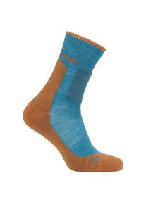 Icebreaker Merino Hike+ Medium Crew Wandersocken Herren (Gr L |bunt)
