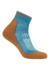 Icebreaker Merino Hike+ Light Mini Wandersocken Herren Wandern (Gr M |bunt)