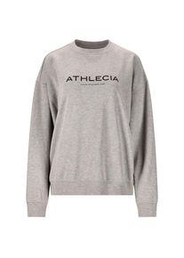 ENDURANCE ATHLECIA Pullove ATHLECIA Atkins Crew Neck Damen (Gr 46 |grau)