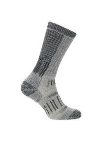 Icebreaker Merino Hike+ Mountaineer Mid Calf Wandersocken Herren (Gr L |grau)