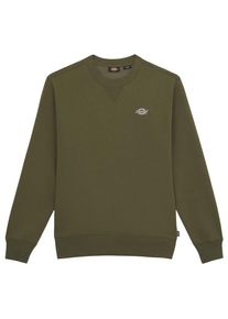 Dickies Summerdale Sweatshirt Pullover Men (Gr M |oliv)