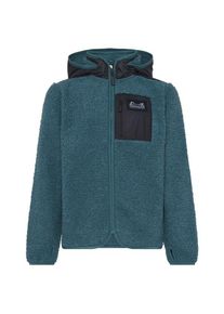 DIDRIKSONS 1913 Fleecejacke Didriksons Exa Full Zip 3 Kinder (Gr 140 |blau)