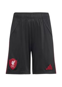 Adidas Fc Liverpool 25-26 Auswärts Fußballshorts Kinder - schwarz - Gr. 140