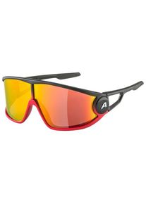 Alpina Legend Q-Lite Cat 3 Sonnenbrille (bunt)