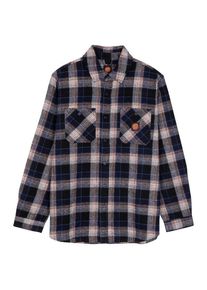Hemd Santa Cruz Apex Shirt Herren (Gr L |grau)