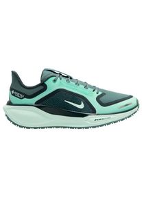 Laufschuhe Nike Pegasus 41 GTX Road Running Shoes Damen (Gr 42 |bunt |wasserdicht)
