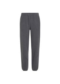 Icebreaker Merino Blend 800 Realfleece Classic Pile Pants Trekkinghose Herren (Gr M |blau/grau)