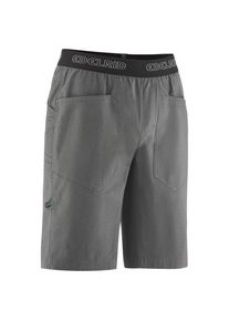 Shorts Edelrid Legacy Shorts IV Herren (Gr L |grau)