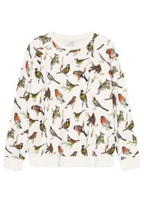 DEDICATED Sweatshirt Malmoe Autumn Birds Pullover Herren (Gr L |weiß)