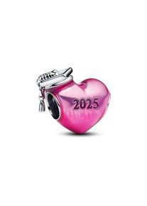 Pandora Charm Moments 793788C01