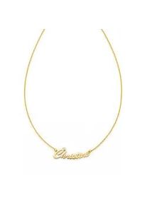 Namenskette Firetti "Schmuck Geschenk Silber 925 Halskette mit deinem Namen", gold (gelbgoldfarben, kristallwei&szlig;), Halsketten, Damen, Silber 925 (Sterlingsilber), L: 45, mit Zirkonia (synth.)