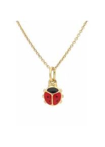 Kette mit Anh&auml;nger Firetti "Schmuck Geschenk Silber 925 Halsschmuck Halskette Ankerkette K&auml;fer", rot (rot, goldfarben, silber, 925, schwarz), Halsketten, M&auml;dchen, Silber 925 (Sterlingsilber), L: 36 B: 1mm, B:1mm