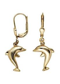 Paar Ohrh&auml;nger Jobo "Delfin", gold (gelbgold 333), Ohrringe, Damen, Gelbgold 333, 333 Gold