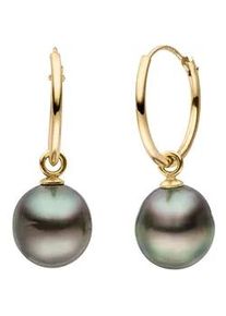Paar Creolen Firetti "Schmuck Geschenk Gold 375 Ohrschmuck Creole", schwarz (gelbgoldfarben, schwarz), Ohrringe, Damen, 9mm, Gelbgold 375 Perlen, Gelbgold 375, Perlen, Made in Germany - mit Tahitizuchtperle - Einh&auml;nger abnehmbar