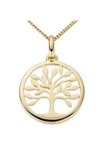 Kettenanh&auml;nger Firetti "Schmuck Geschenk Gold 333 Halsschmuck Anh&auml;nger Halskette Baum", gold (gelbgoldfarben), Schmuckanh&auml;nger, Damen, Gelbgold 333, 0,85 g, Kettenanh&auml;nger