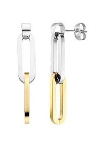 Paar Ohrh&auml;nger Jobo, silber (edelstahlfarben), Ohrringe, Damen, Edelstahl, Edelstahl bicolor beschichtet