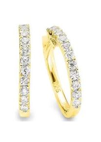 Paar Creolen Bruno Banani "Schmuck Geschenk Silber 925 Ohrschmuck Ohrringe", gold (gelbgoldfarben, wei&szlig;, kristallwei&szlig;), Ohrringe, Damen, 16mm, Silber 925 (Sterlingsilber), mit Zirkonia (synth.)