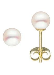 Paar Ohrstecker Jobo, gelb (gelbgold 585), Ohrringe, Damen, 5mm, Gelbgold 585 Perlen, Gelbgold 585, Perlen, 585 Gold mit Akoya-Zuchtperlen 5 mm