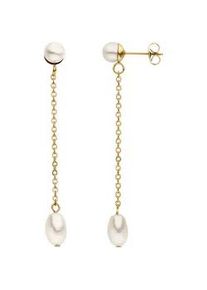 Perlenohrringe Jobo "lang mit Kette", gold (goldfarben), Ohrringe, Damen, Edelstahl Perlen, Edelstahl, Perlen, Edelstahl goldfarben mit 4 Perlen