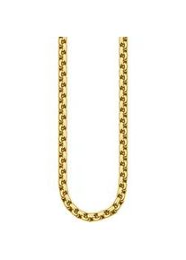 Collierkettchen Thomas Sabo "Venezianerkettengliederung, 4,0 mm breit" Gr. 53, gold (gelbgoldfarben), Halsketten, Damen, 53, Silber 925 (recycelt)