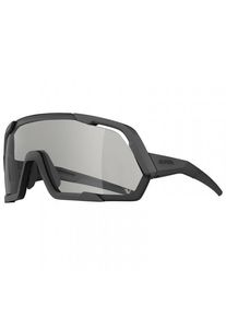 Alpina Rocket V Cat 0-3 Fahrradbrille (grau)