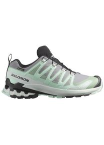 Multisportschuhe Salomon XA Pro 3D V9 GTX Damen (Gr 37 1/3 |grau |wasserdicht)