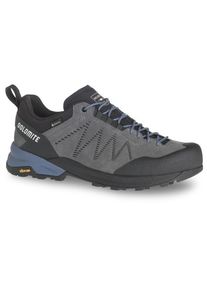 Dolomite Crodarossa Leather GTX Multisportschuhe Herren (Gr 42,5 |grau |wasserdicht)