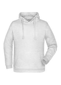 Basic Herren Hoody | ash | 4XL - ash