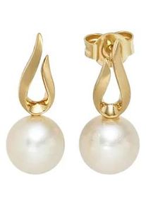 Perlenohrringe Jobo, gelb (gelbgold 585), Ohrringe, Damen, Gelbgold 585 Perlen, Gelbgold 585, Perlen, 585 Gold mit S&uuml;&szlig;wasser-Zuchtperlen
