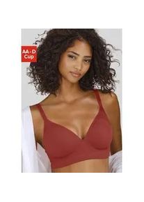 Push-up-BH Lascana "COMFY BRA", Damen, Gr. 80, Cup AA, rot (chili), Piqu&eacute;, Obermaterial: 50% Baumwolle, 33% Polyamid, 14% Polyester, 3% Elasthan, Basic, BHs Push-up-BH, ohne B&uuml;gel aus Baumwolle, Basic Dessous