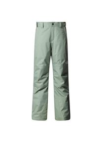 The North Face Freedom Insulated Pant Skihose Kinder Ski (Gr L |bunt |wasserdicht)