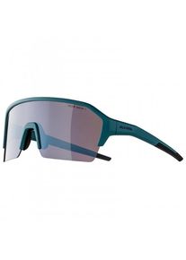 Fahrradbrille Alpina Ram HR HM+ Hicon Mirror Cat 3 (grau)