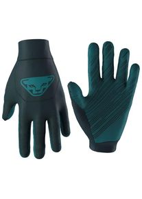 Dynafit Upcycled Thermal Gloves Handschuhe Skitouren (Gr XS |blau)